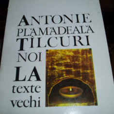 Antonie Plămădeală - Tîlcuri noi la texte vechi