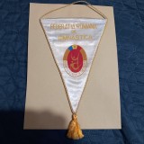 fanion Fed. romana de Gimnastica