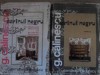 SCRINUL NEGRU VOL.1-2 ROMAN + DOCUMENTATIE MATERIALA CU PERSONAJE IMAGINARE-GEORGE CALINESCU-228412