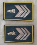 C1 30 - Grade militare - straine - pompieri - piesa de colectie!