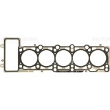 Victor Reinz Garnitura, chiulasa