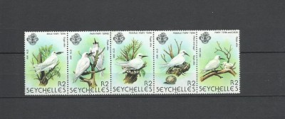 SEYSCHELLES 1981-FAUNAA-PASARI-Streif de 5 timbre foto