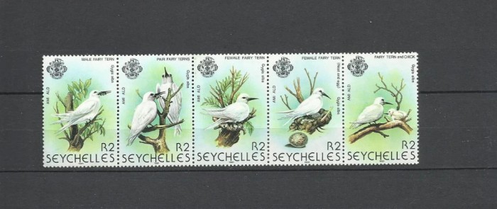 SEYSCHELLES 1981-FAUNAA-PASARI-Streif de 5 timbre