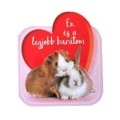 &Eacute;n &eacute;s a legjobb bar&aacute;tom