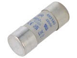 Siguranţă cilindrică DF ELECTRIC 100A 690VAC 447VDC 22x58mm gR ceramică industrială