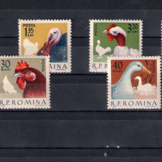 ROMANIA 1963 - PASARI DE RASA, MNH - LP 560