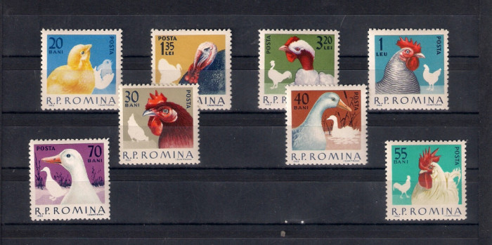 ROMANIA 1963 - PASARI DE RASA, MNH - LP 560