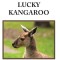 The Lucky Kangaroo