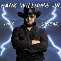 Hank Williams Jr. Wild Streak LP cutout (vinyl)