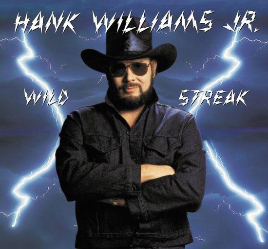 Hank Williams Jr. Wild Streak LP cutout (vinyl)