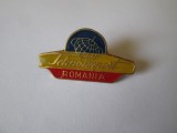 Insigna Tehnoimport Romania anii 80