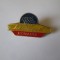 Insigna Tehnoimport Romania anii 80