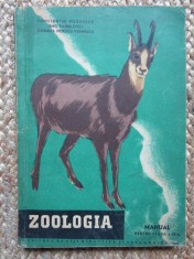 ZOOLOGIA , MANUAL PENTRU CLASA A IX -A - CONSTANTIN BOGOESCU foto