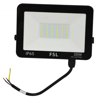 Proiector Led FSL, 30W, Lumina rece, Fascicul larg, IP65 foto