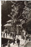 CPIB 22623 - CARTE POSTAL - SLANIC MOLDOVA. IZVOARELE