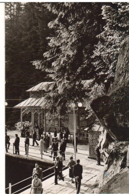 CPIB 22623 - CARTE POSTAL - SLANIC MOLDOVA. IZVOARELE foto