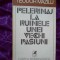 z2 Teodor Mazilu - Pelerinaj la ruinele unei vechi pasiuni