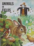Animals in Fields: Carte de Povesti Ilustrata pt Copii, Hemma 2009, Engleza, Coperta Paperback 23x31cm
