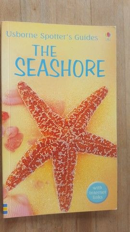 The Seashore-Usborne Spotter&#039;s Guide