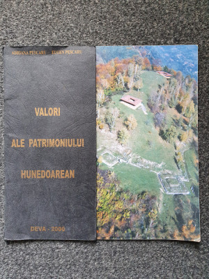 VALORI ALE PATRIMONIULUI HUNEDOREAN - Pescaru foto