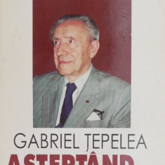 Asteptand... Pagini de jurnal - Gabriel Tepelea