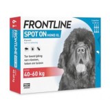 FRONTLINE SPOTON XL CUTIE 3 PIPETE