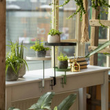Esschert Design Tava pentru plante cu clema, verde, rotund, S GartenMobel Dekor