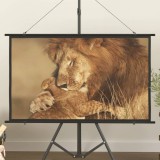 Ecran de proiecție 50&quot; 16:9