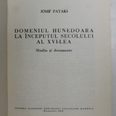 IOSIF PATAKI - DOMENIUL HUNEDOARA LA INCEPUTUL SECOLULUI AL XVI-LEA