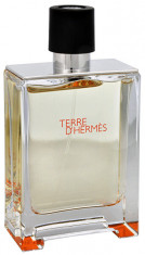 Hermes -TERRE D&amp;#039;HERMES 100 ml | Parfum Tester foto