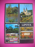 HOPCT 57993 LIPOVA JUD ARAD -CIRCULATA