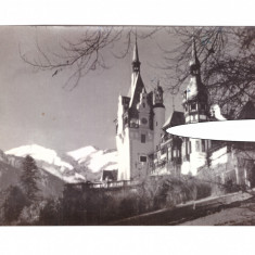 CP Sinaia - Muzeul Peles, RPR, circulata 1957, stare foarte buna