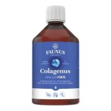 Cumpara ieftin Colagen hidrolizat pentru articulatii Colagenus Articulatii Forte, 500 ml, Faunus Plant