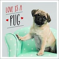 Love is a Pug: A Pugtastic Celebration of the World&#039;s Cutest