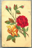 AD 566 C. P. VECHE - FELICITARE - FRANTA