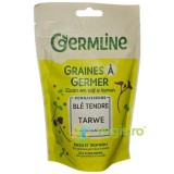 Seminte de Grau pentru Germinat Ecologice/Bio 200g