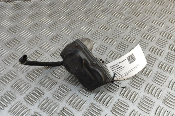 Motor supapa de eșapament SKODA SUPERB III Estate 3V5 2021 OEM: 52812801 | 31890680