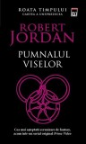 Pumnalul viselor (Vol. 11) - Paperback brosat - Robert Jordan - RAO