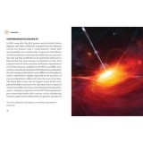 Drawing Pet Portraits