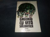 CONSTANTIN TOIU - GALERIA CU VITA SALBATICA