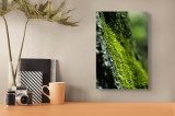 Tablou Canvas, "Tăcerea mușchiului pe scoarță verde", Verde, Muschi, Textura, Natura, Frunze, Umiditate, Viu, Lemn, Bokeh, 26 x 39 cm, CMCLASS