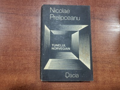 Tunelul norvegian de Nicolae Prelipceanu foto