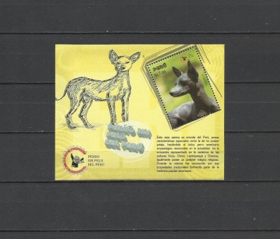 PERU 2009 FAUNA ANIMALE DOMESTICE CAINI foto