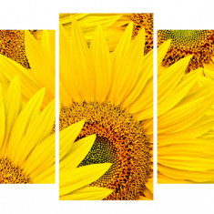 Tablou multicanvas 3 piese Flori 2, 120 x 85 cm