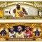 !!! SUA = FANTASY NOTE (TJ6) = LEBRON JAMES - 2021 - UNC
