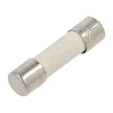Siguranţă cilindrică ceramică 4A 250VAC cu &icirc;nt&acirc;rziere