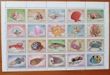 FUJEIRA-&#039;&#039;FAUNA MARINA(PESTI,SCOICI,STC.)&#039;&#039; COALA de 20 val--MNH -NESTAMPIL.-VEZI SCAN, Nestampilat