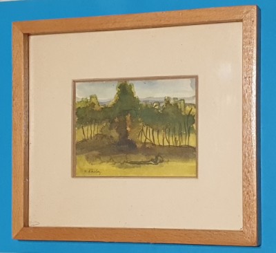 Tablou in miniatura semnat 77. S. Nicolaescu sau D. Nicolaescu foto
