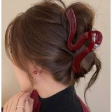 Clama de par tip gheara , Design ombre, dulce si elegant