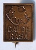 CAI DE RASA - insigna rara